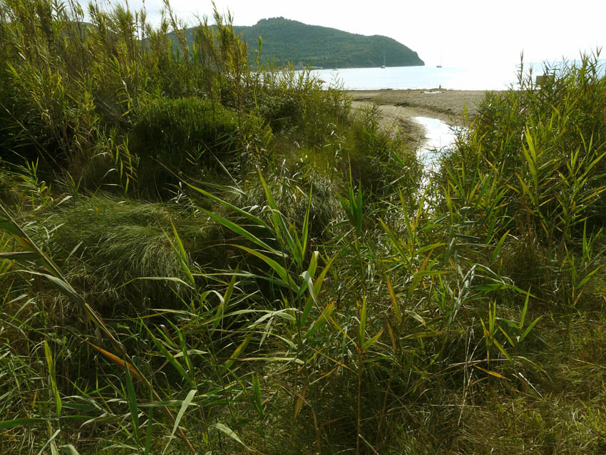 I fossi e lo stagno di Baratti (Piombino - LI)